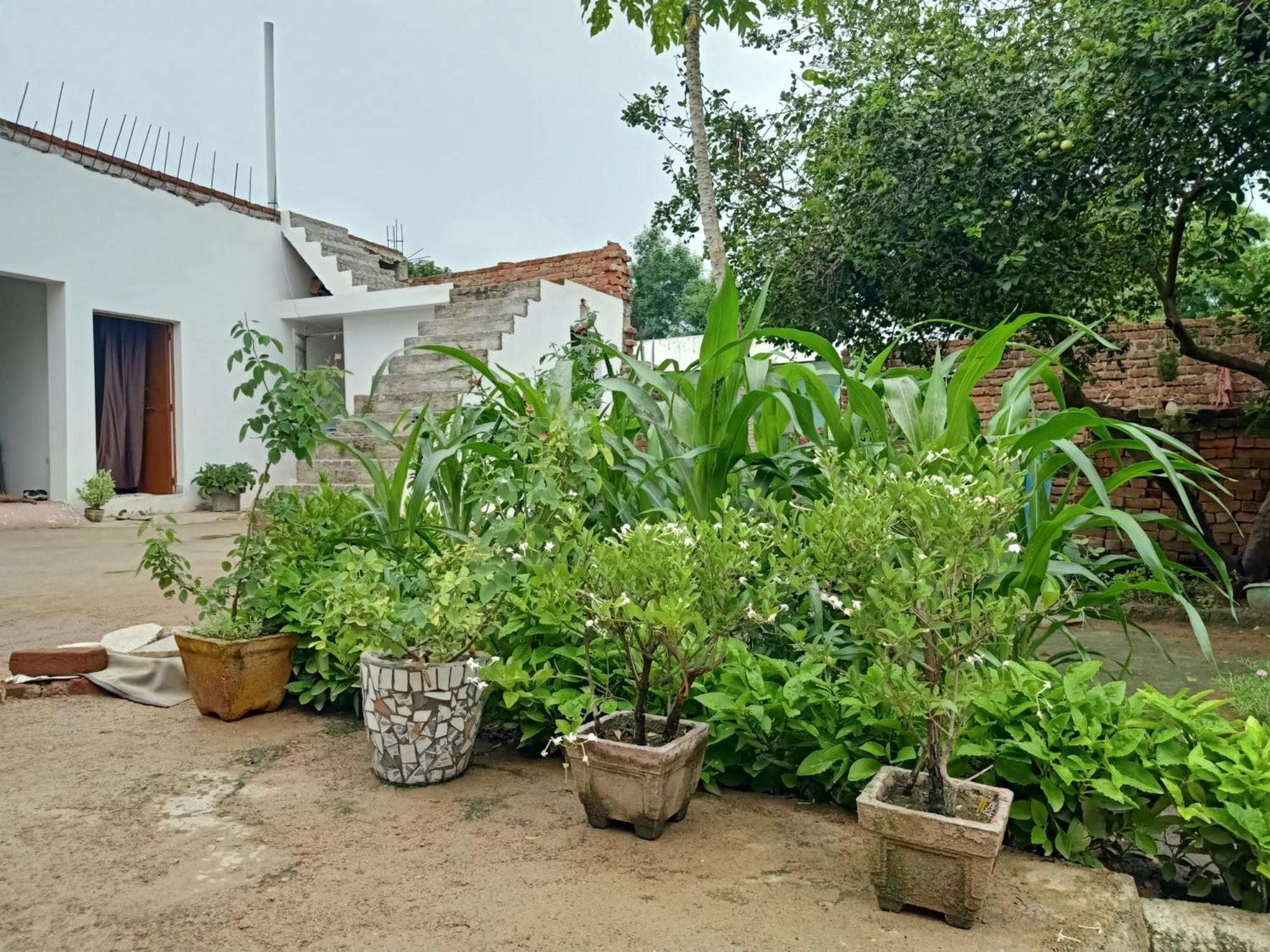 Khajuraho Rancho Apartment Exterior foto