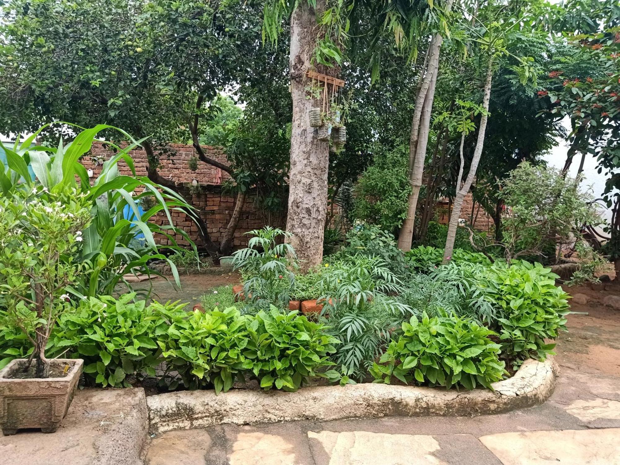 Khajuraho Rancho Apartment Exterior foto